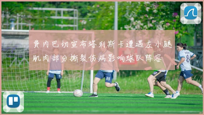 费内巴切宣布塔利斯卡遭遇左小腿肌肉部分撕裂伤病影响球队阵容