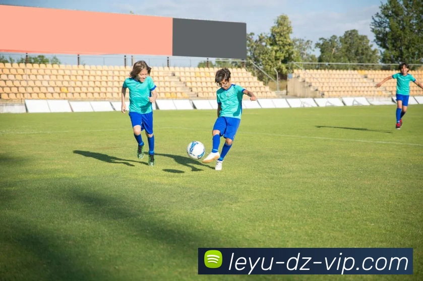 乐鱼体育平台生态图