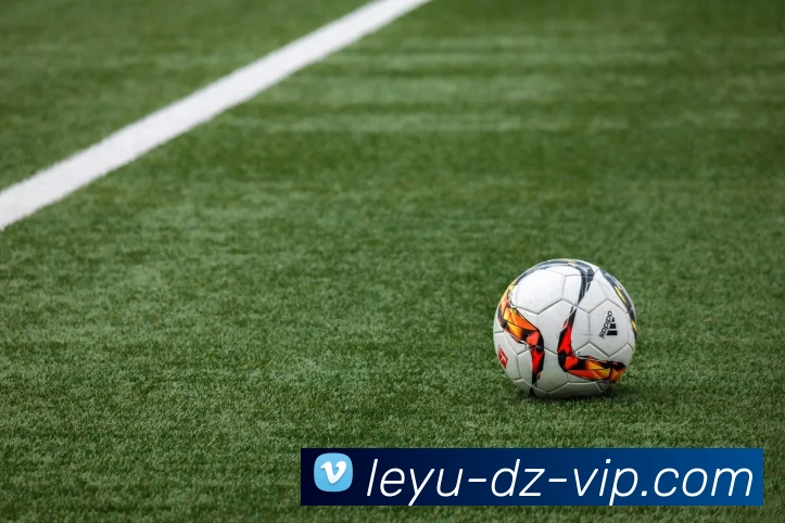 乐鱼体育全站App